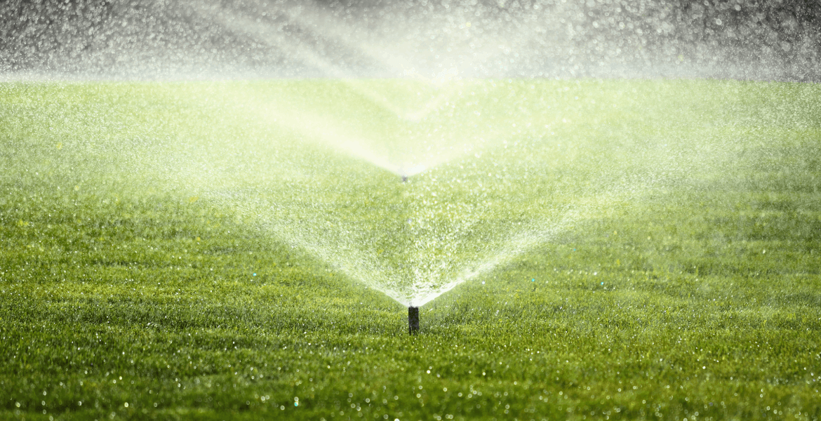 WOLF SPRINKLER
